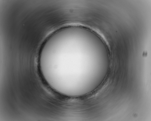 X0000102830063200808181058
