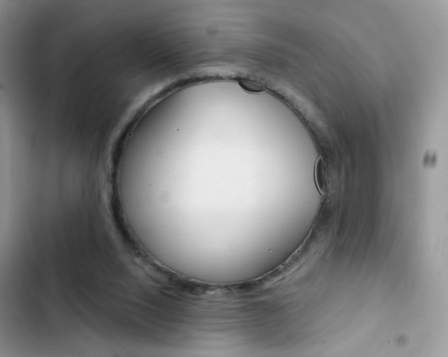 X0000102830064200808181058