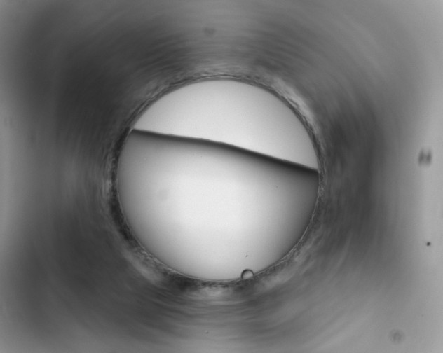 X0000102830065200808181058