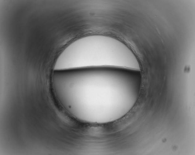 X0000102830066200808181058