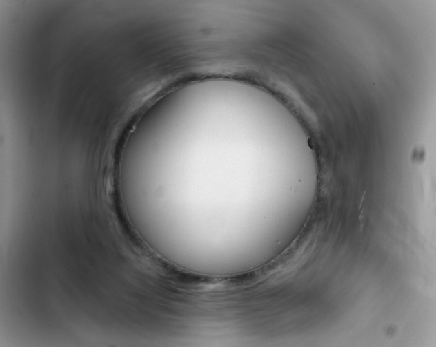 X0000102830068200808181058
