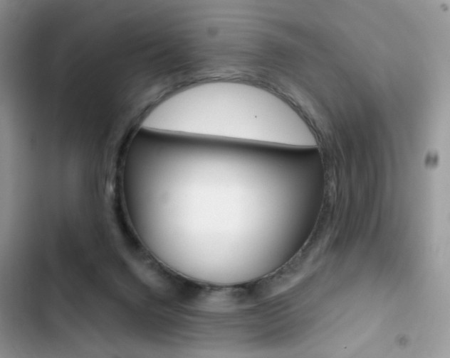 X0000102830072200808181058
