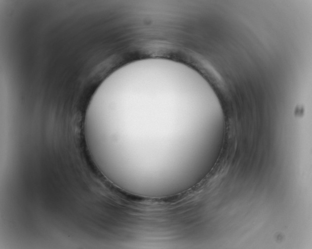 X0000102830073200808181058