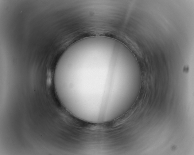 X0000102830075200808181058