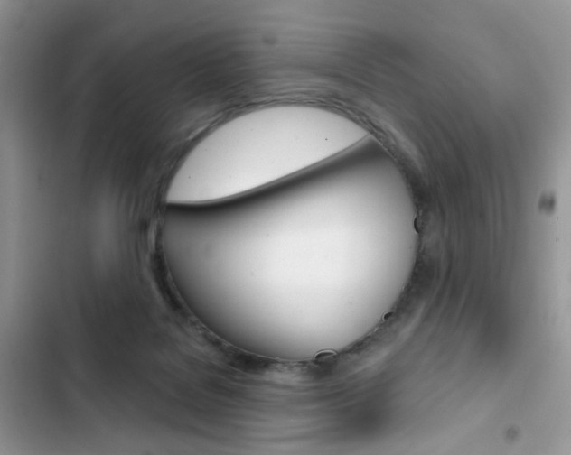 X0000102830076200808181059