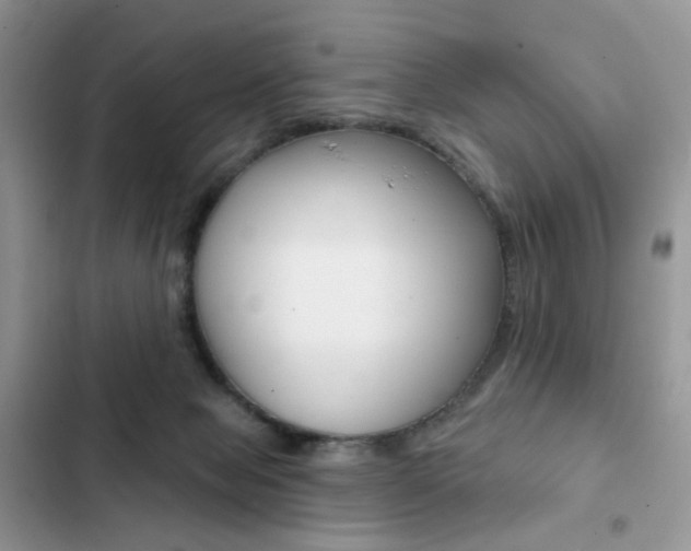 X0000102830077200808181059