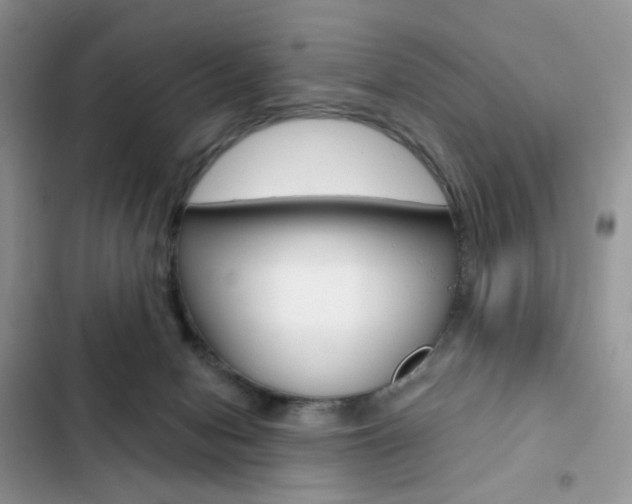 X0000102830078200808181059
