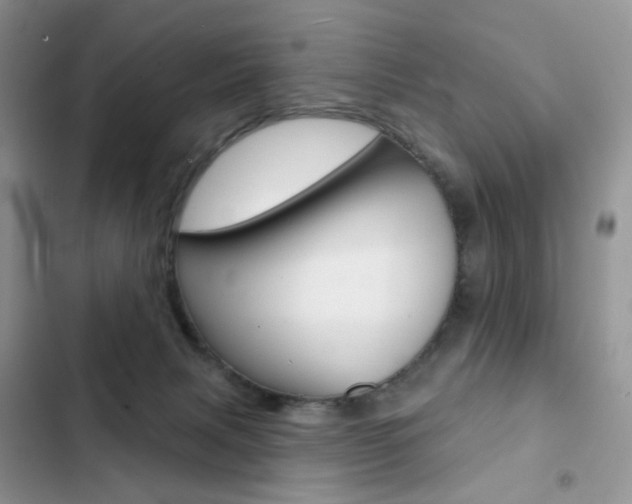 X0000102830079200808181059