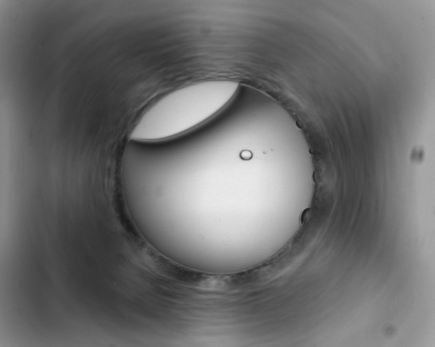 X0000102830080200808181059