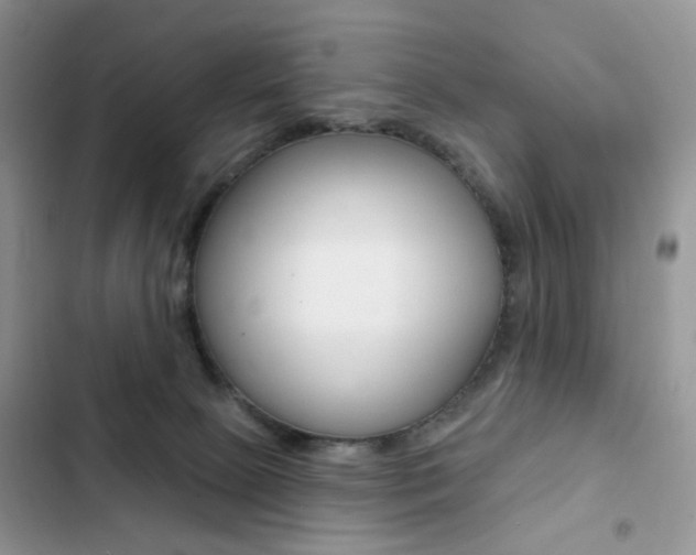 X0000102830081200808181059