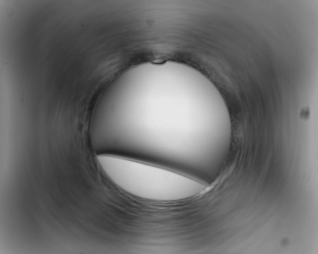 X0000102830082200808181059