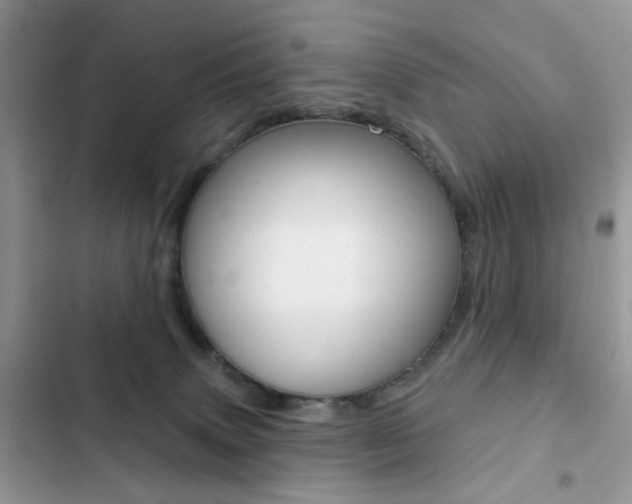 X0000102830083200808181059