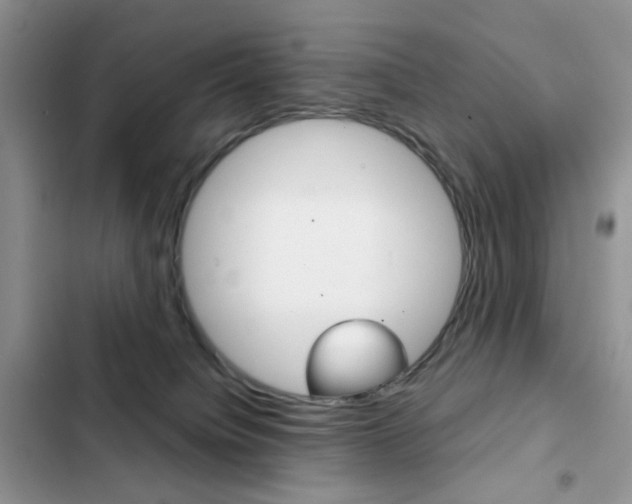 X0000102830084200808181059
