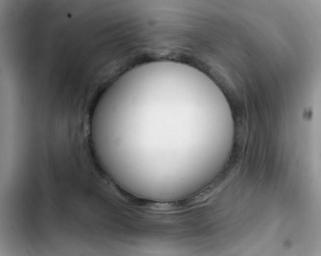 X0000102830085200808181059
