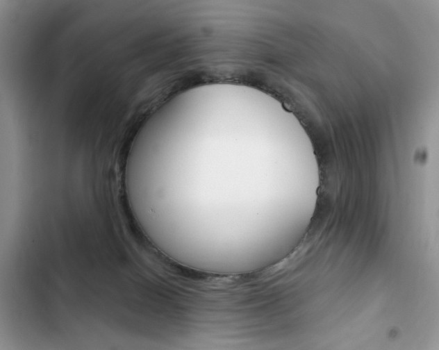 X0000102830086200808181059