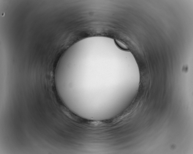 X0000102830087200808181059