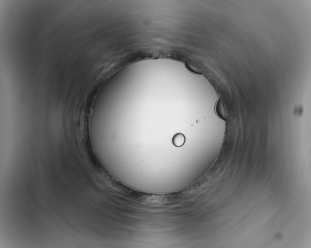 X0000102830088200808181059