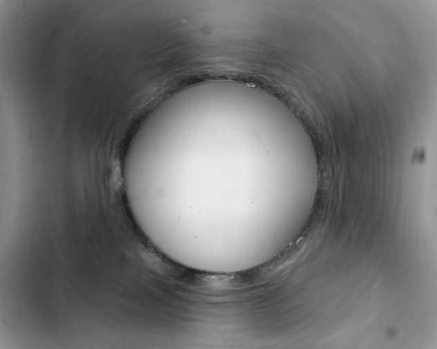 X0000102830089200808181059
