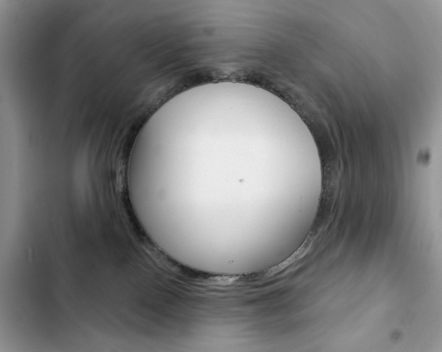 X0000102830090200808181059