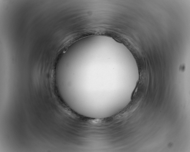 X0000102830092200808181059