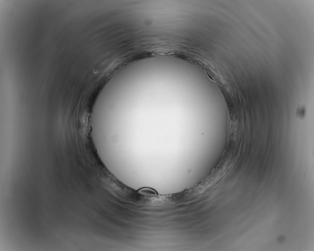 X0000102830093200808181059