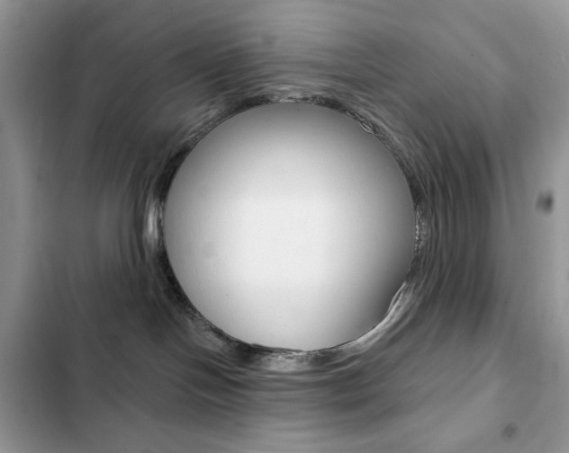 X0000102830094200808181059