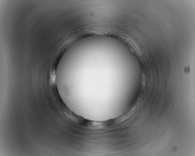 X0000102830095200808181059