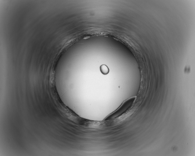 X0000102830096200808181059
