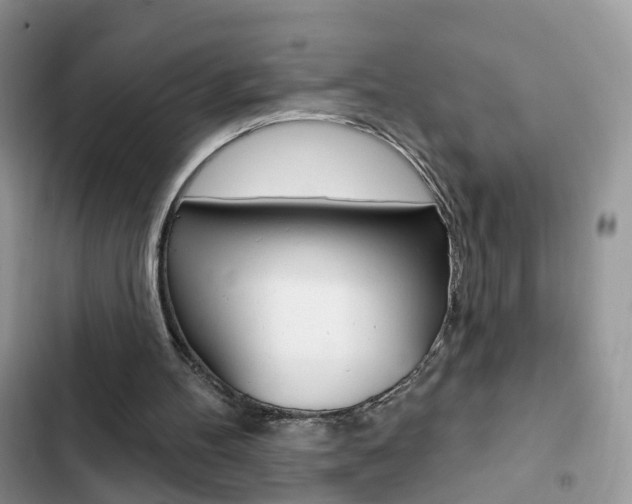 X0000102830100200808181058