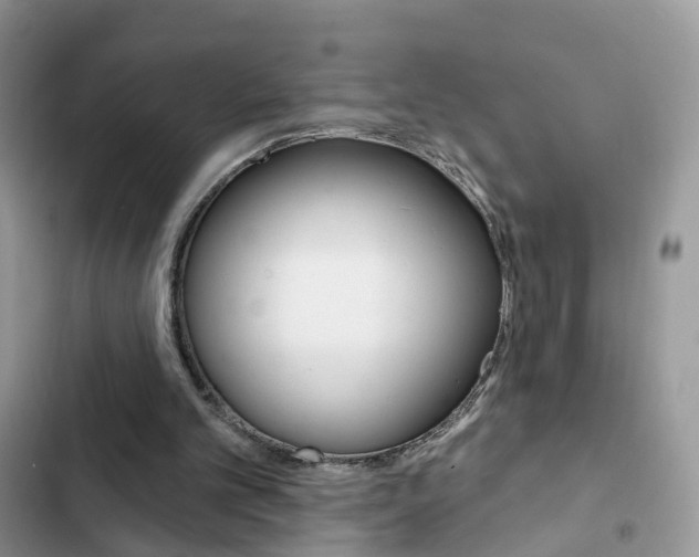 X0000102830101200808181058