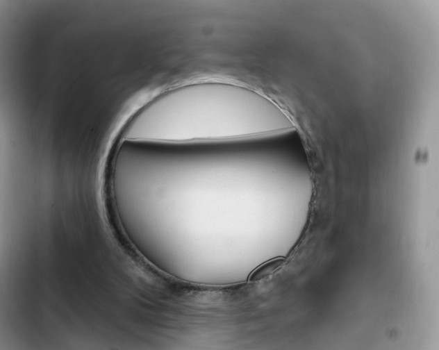 X0000102830104200808181058