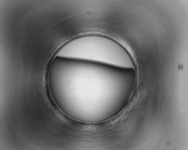 X0000102830105200808181058