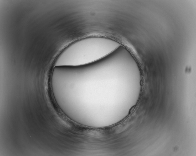 X0000102830106200808181058