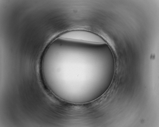 X0000102830107200808181058