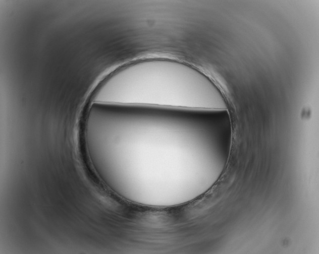 X0000102830108200808181058