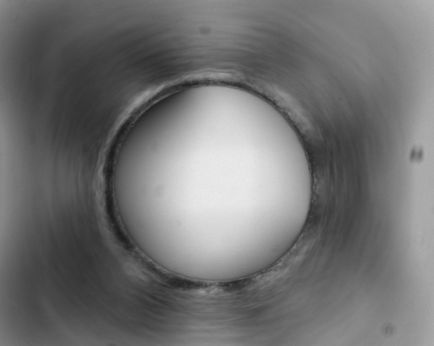 X0000102830112200808181058