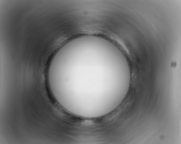 X0000102830114200808181058
