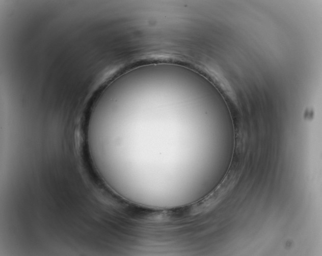 X0000102830116200808181058