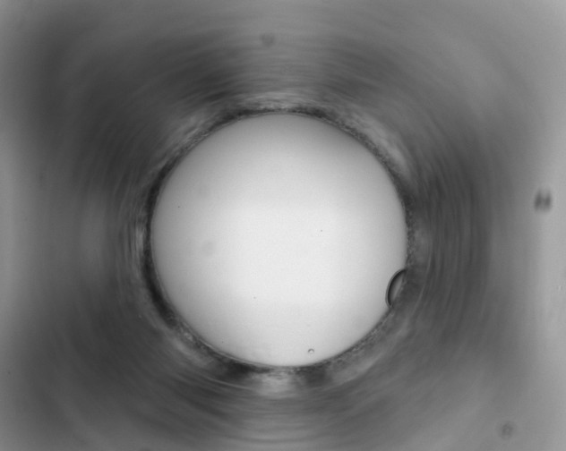 X0000102830118200808181058