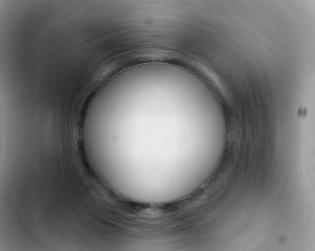 X0000102830119200808181058