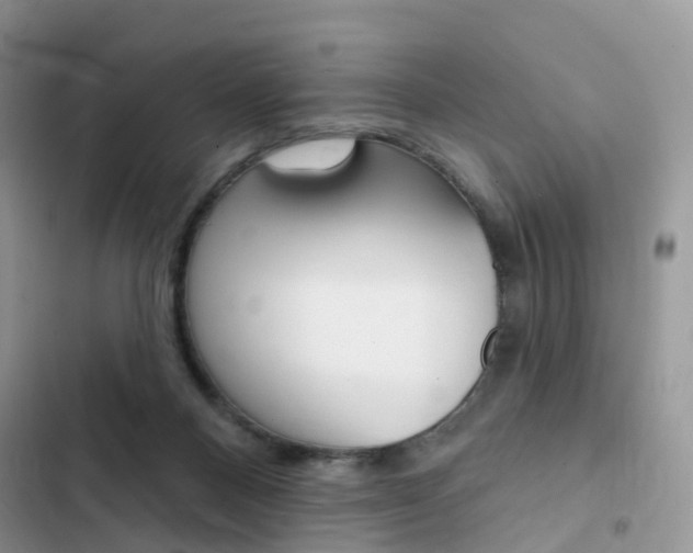 X0000102830120200808181058
