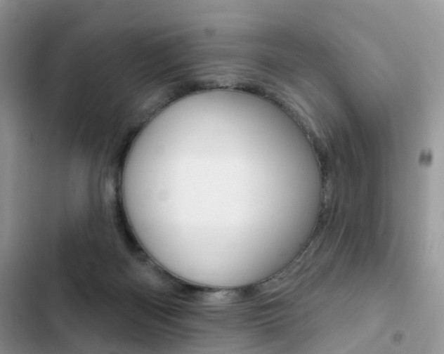 X0000102830122200808181058