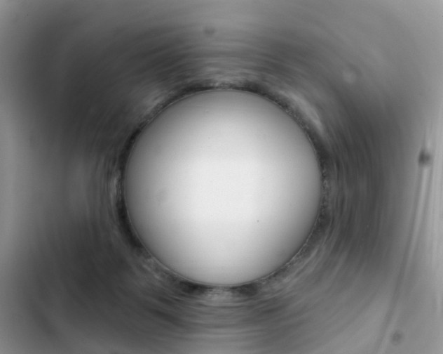 X0000102830123200808181058