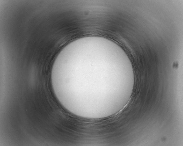 X0000102830124200808181058