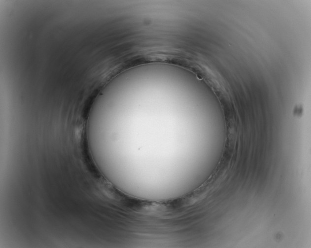 X0000102830125200808181058