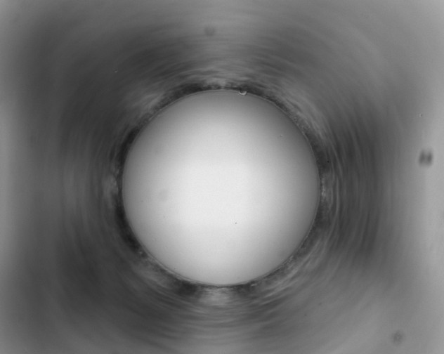X0000102830127200808181058
