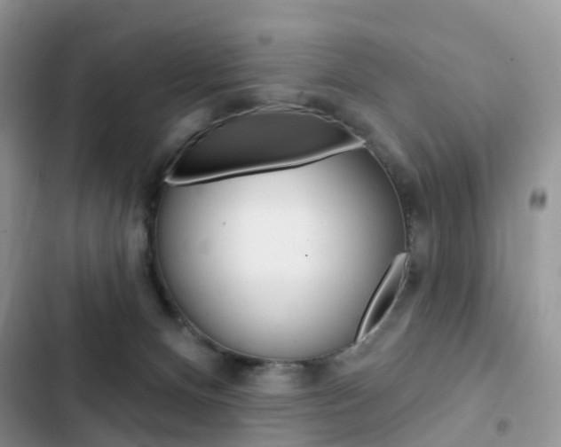 X0000102830128200808181058