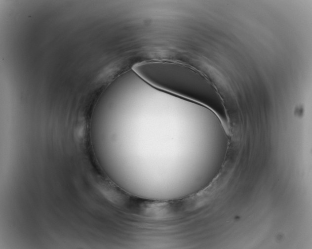 X0000102830132200808181058