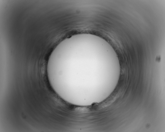 X0000102830133200808181058