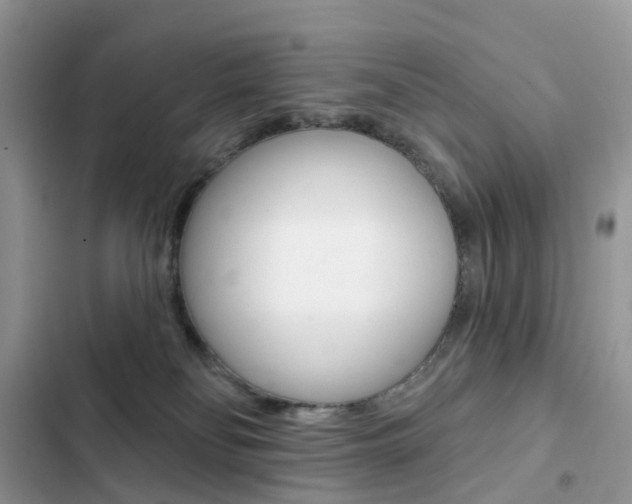 X0000102830134200808181058